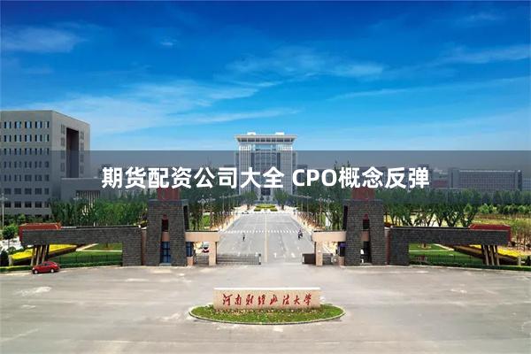 期货配资公司大全 CPO概念反弹